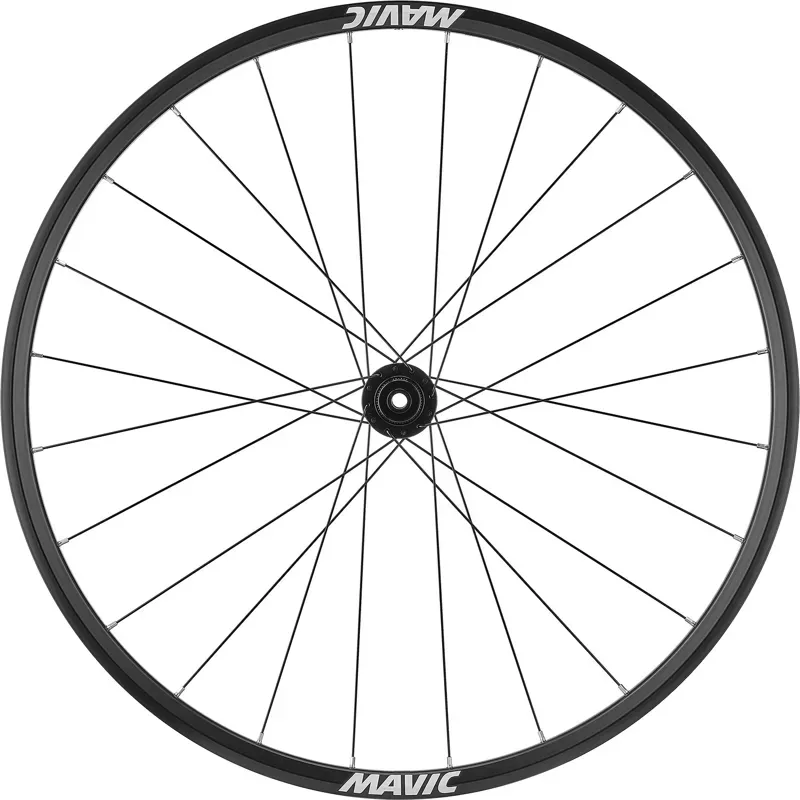 Mavic Access RG22 Centre Lock Disc Black-1