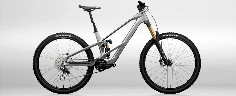 NEW Orbea Wild LT