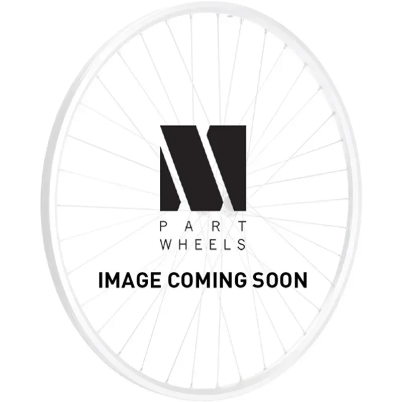 M Part Wheels Solid 100/DW29/PG 36-hole 700c 100mm Fr. Wheel in Silver