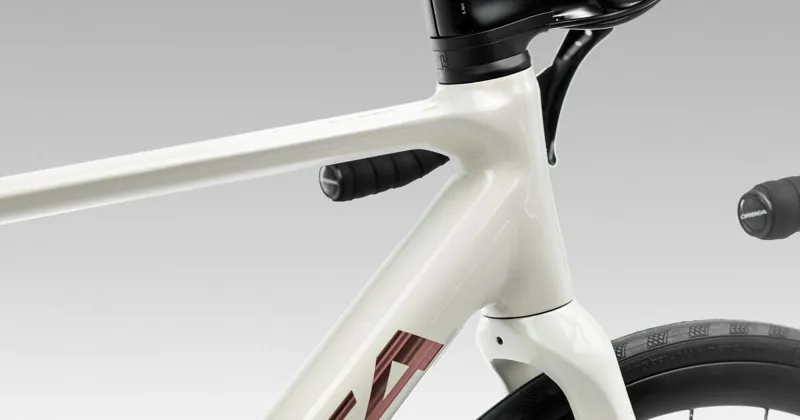 Orbea Avant H30 Ivory White - Titan Bronze -3