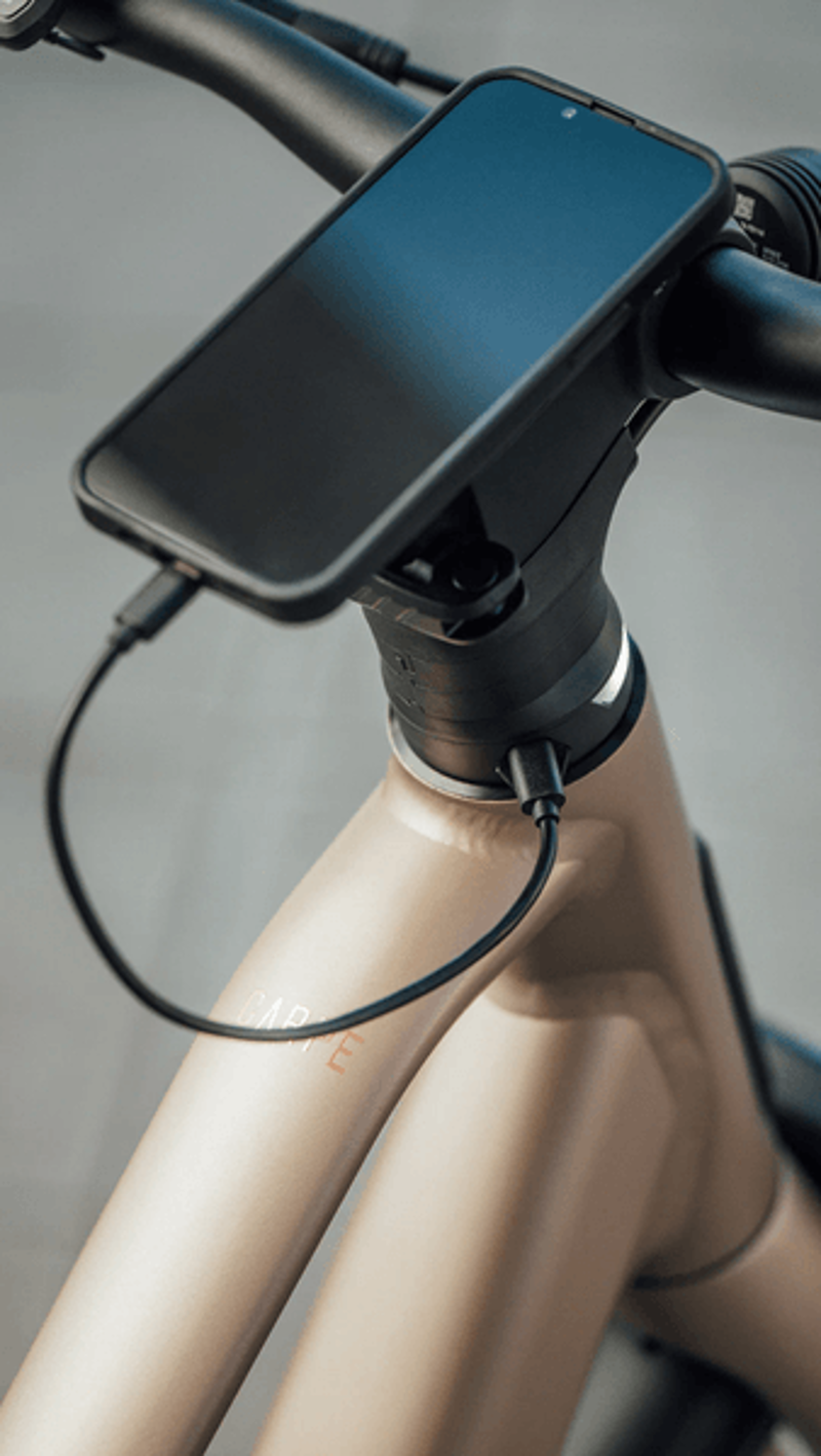 Orbea Carpe 25 Nickel Matt-8