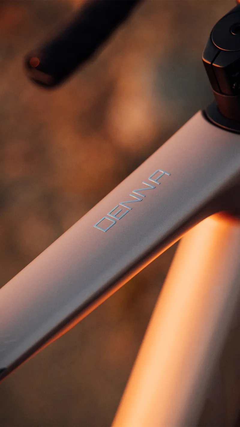 Orbea Denna M30 Nickel Matt - Carbon Raw-7