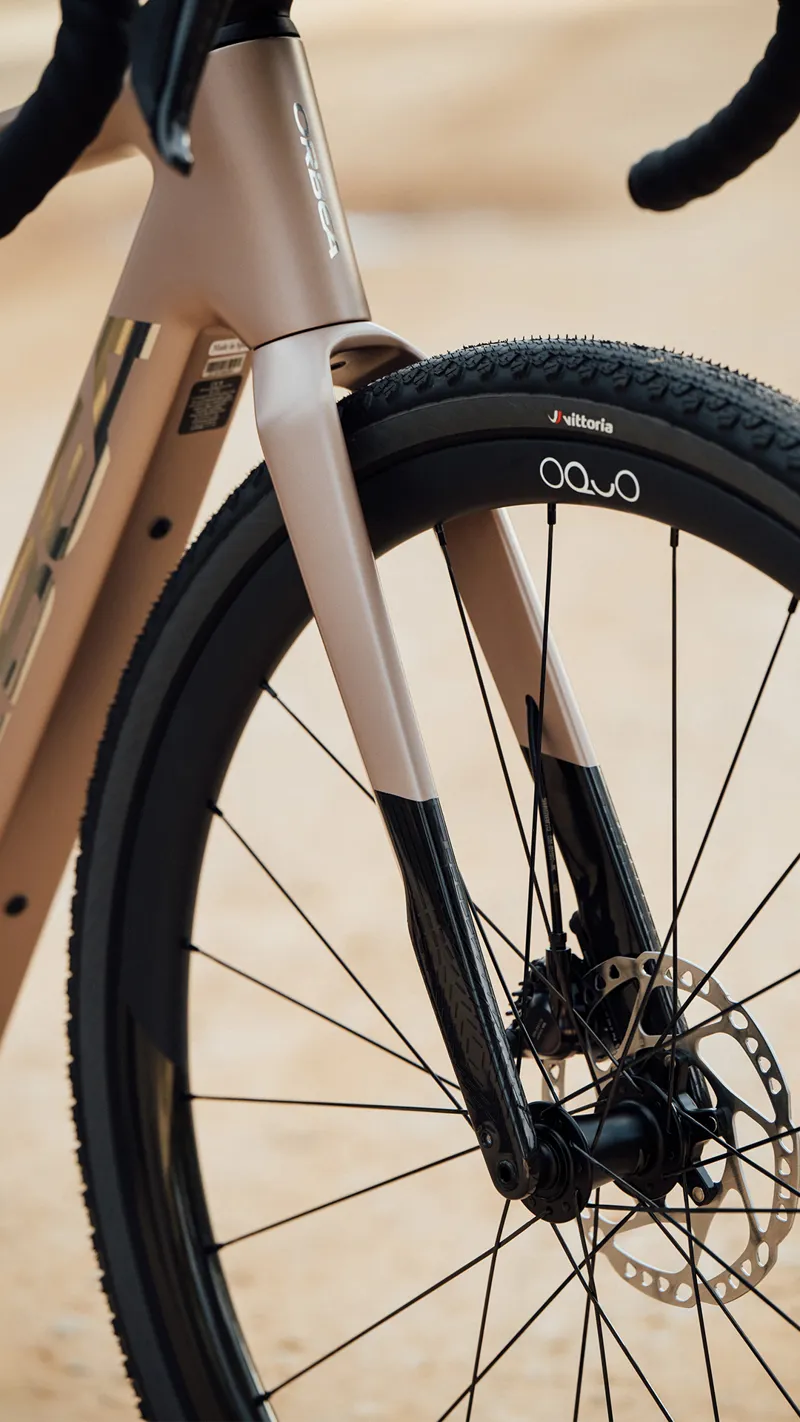 Orbea Denna M30 Nickel Matt - Carbon Raw-5