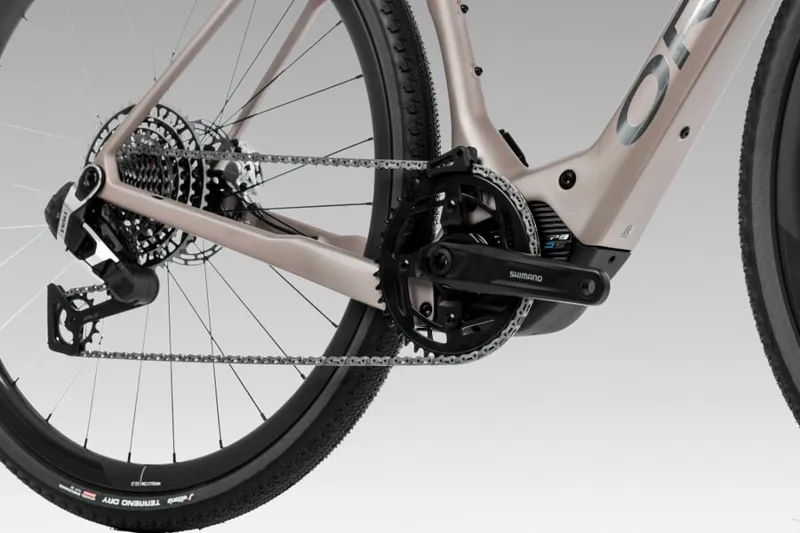 Orbea Denna M30 Nickel Matt - Carbon Raw-11