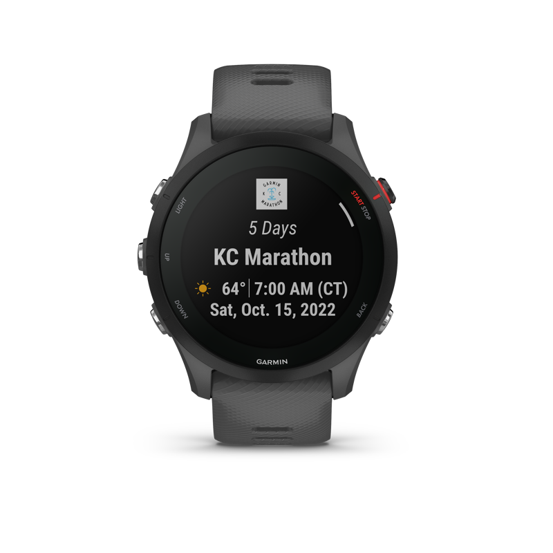 Garmin Forerunner 255 Slate Grey-2