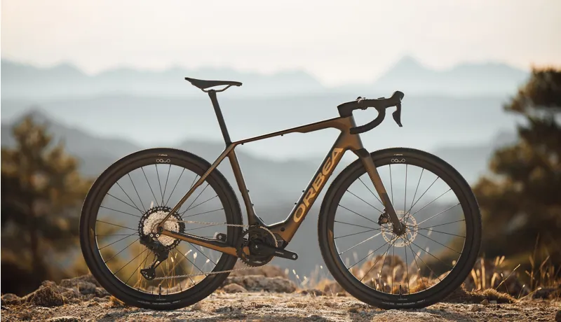 Orbea Denna M30 Nickel Matt - Carbon Raw-13